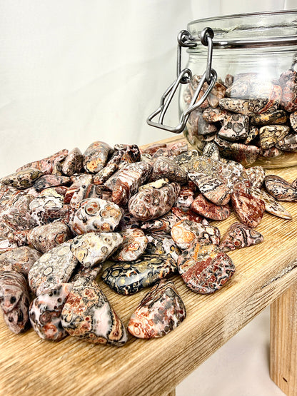 Leopard Skin Jasper Tumblestone - Mexico - 15-20mm