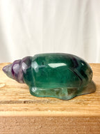 Rainbow Fluorite Conch Shell (#1)