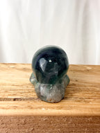Rainbow Fluorite Conch Shell (#1)