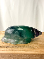 Rainbow Fluorite Conch Shell (#1)