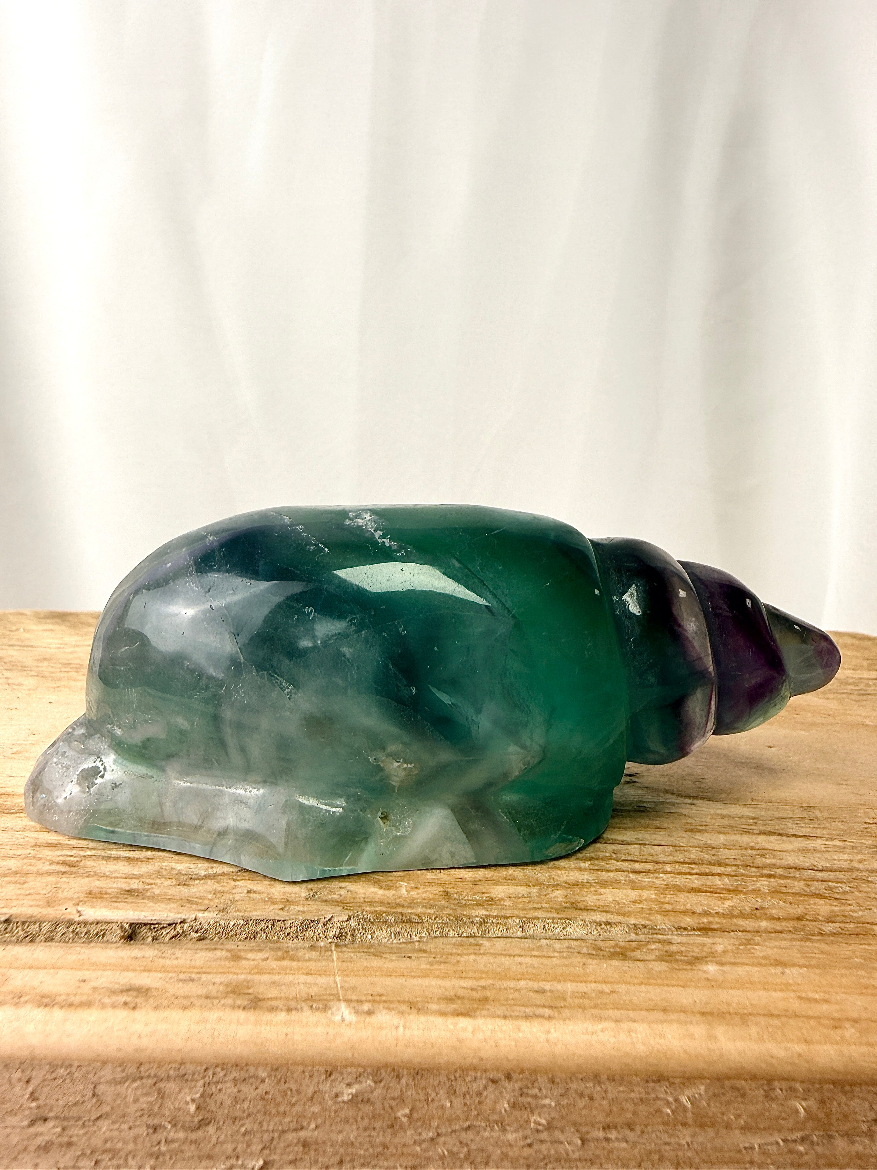 Rainbow Fluorite Conch Shell (#1)