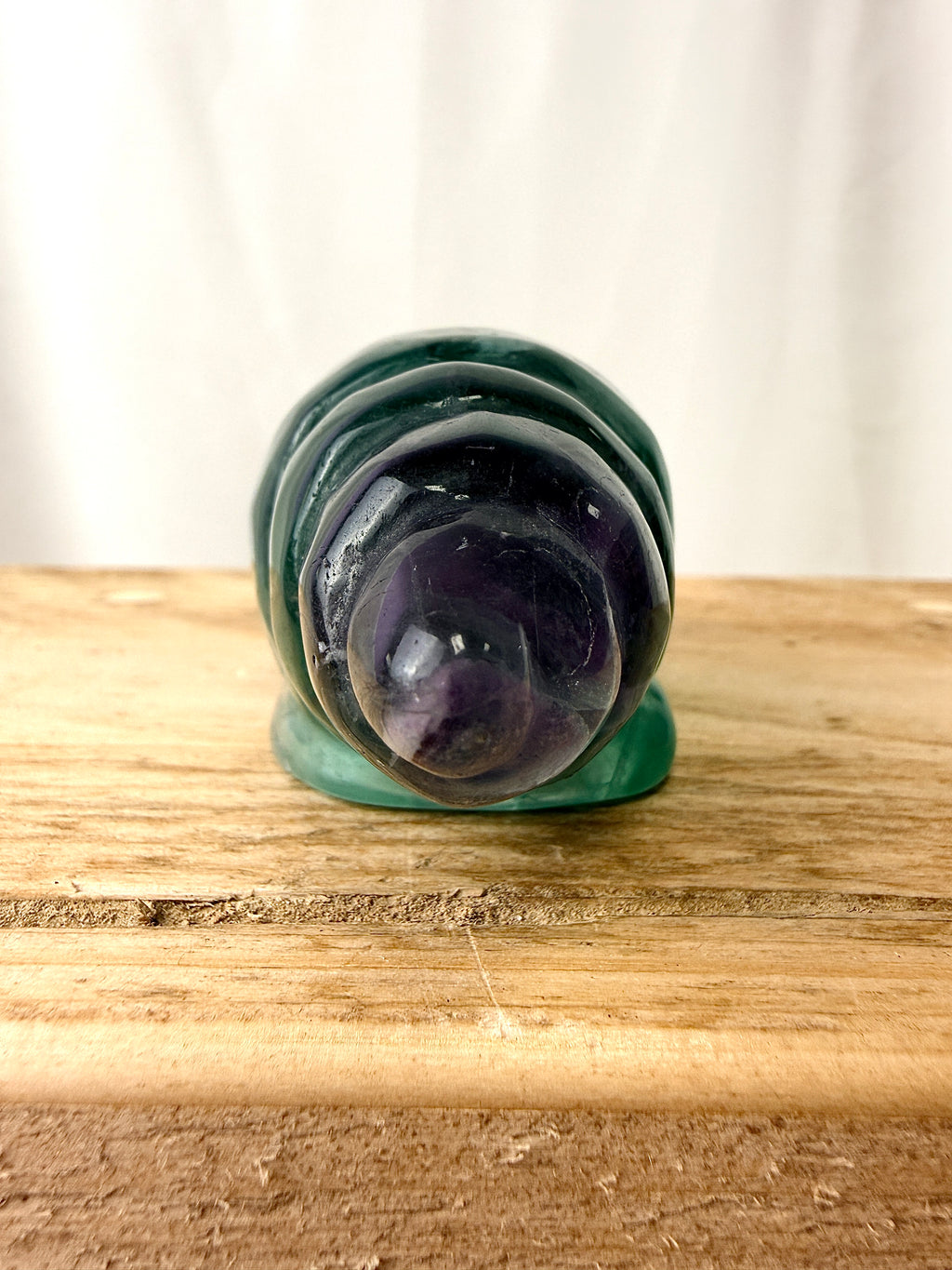 Rainbow Fluorite Conch Shell (#1)