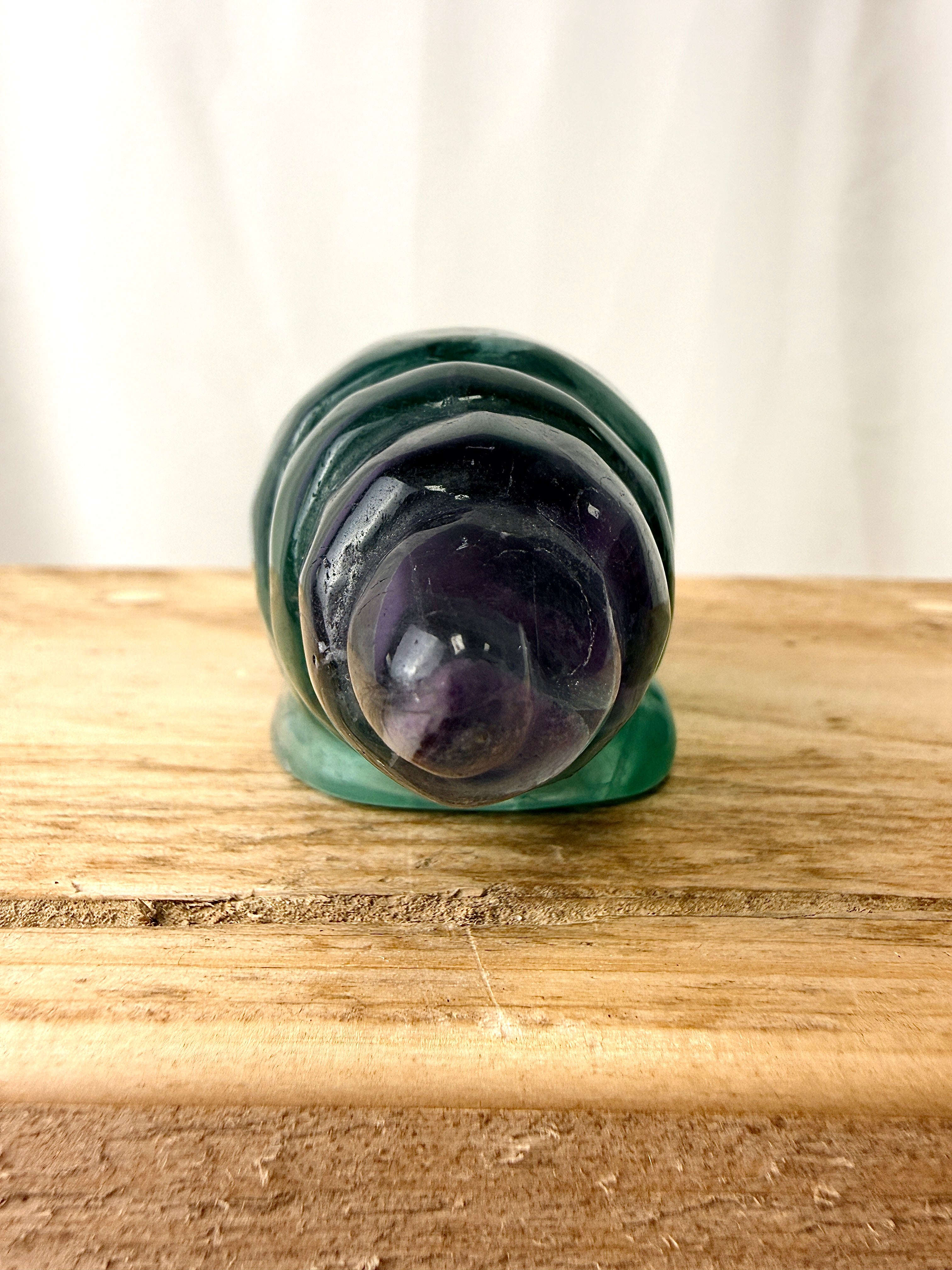Rainbow Fluorite Conch Shell (#1)