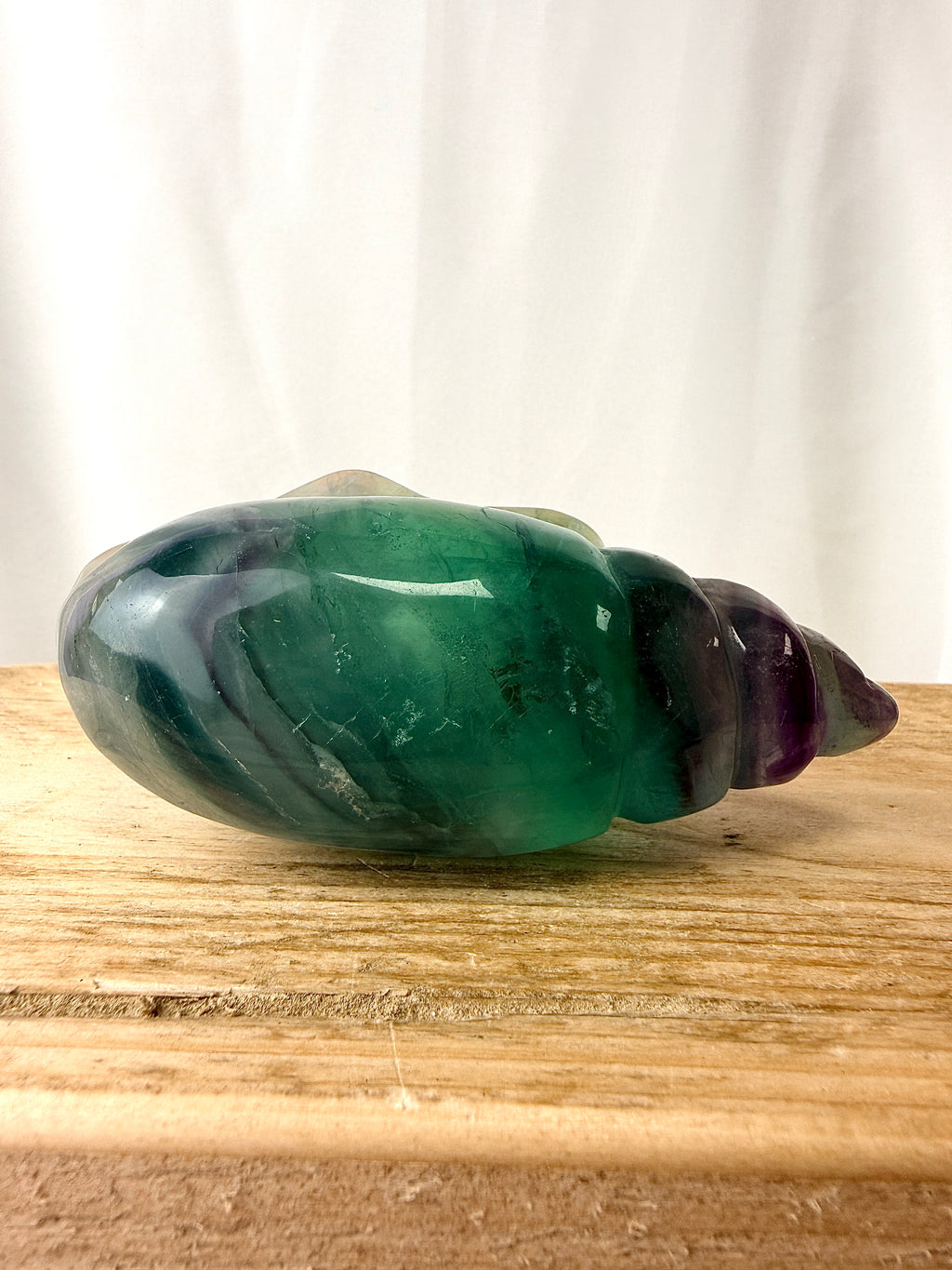 Rainbow Fluorite Conch Shell (#1)
