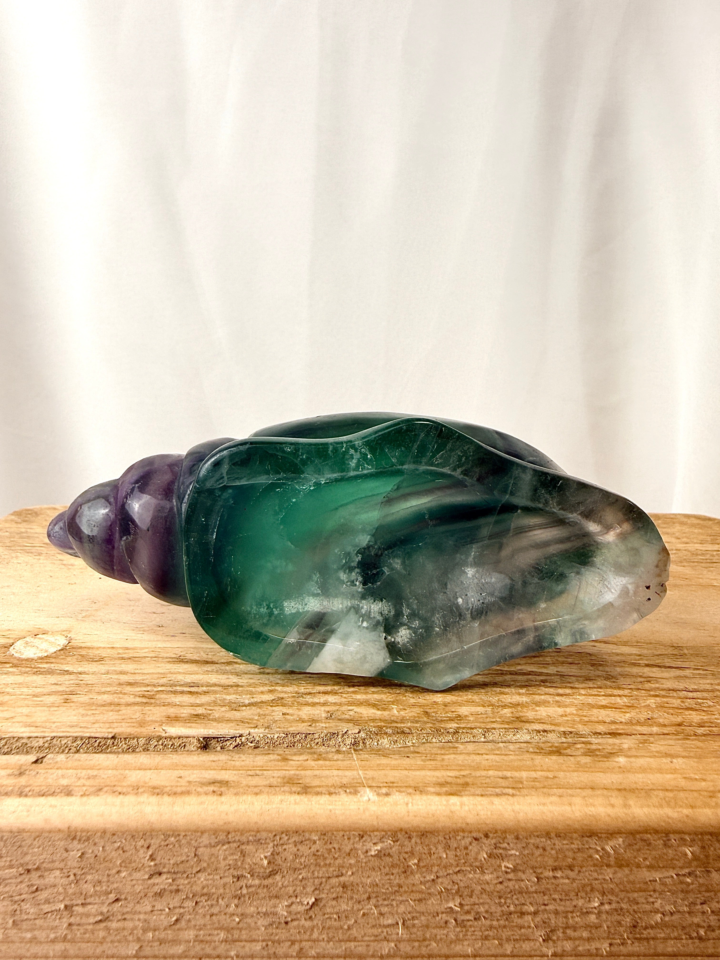 Rainbow Fluorite Conch Shell (#1)