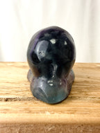 Rainbow Fluorite Conch Shell (#2)