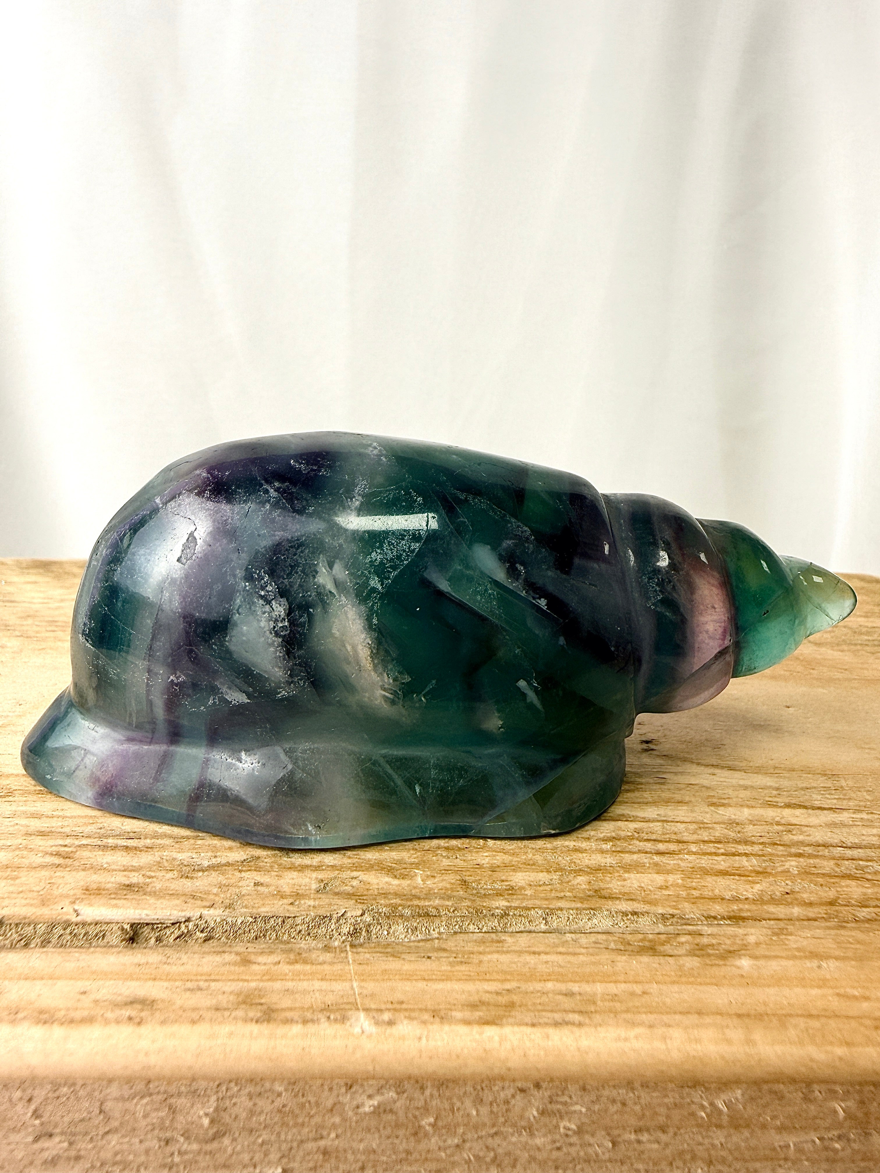Rainbow Fluorite Conch Shell (#2)