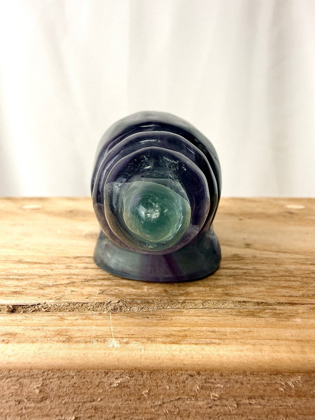 Rainbow Fluorite Conch Shell (#2)