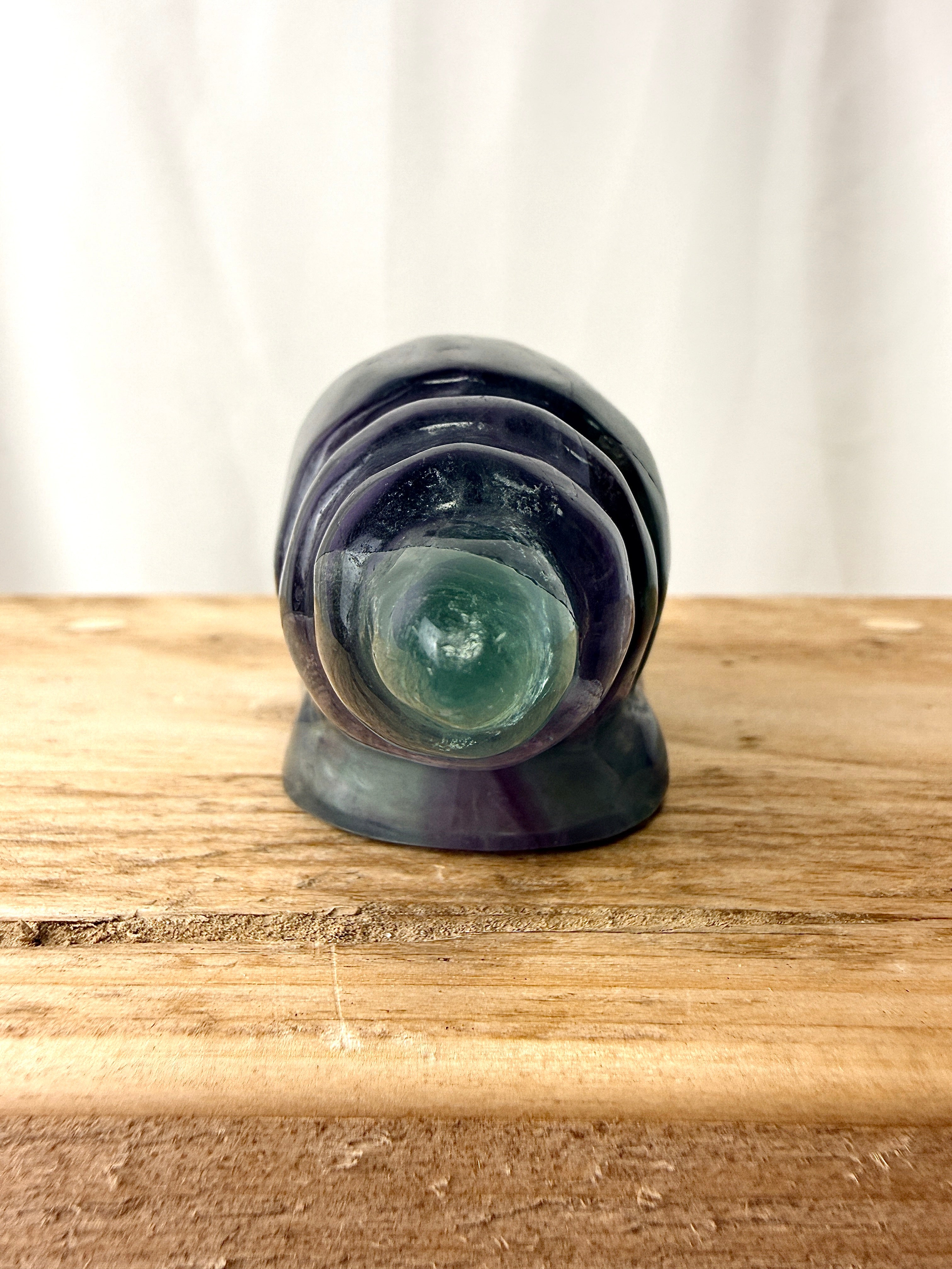 Rainbow Fluorite Conch Shell (#2)