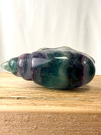 Rainbow Fluorite Conch Shell (#2)