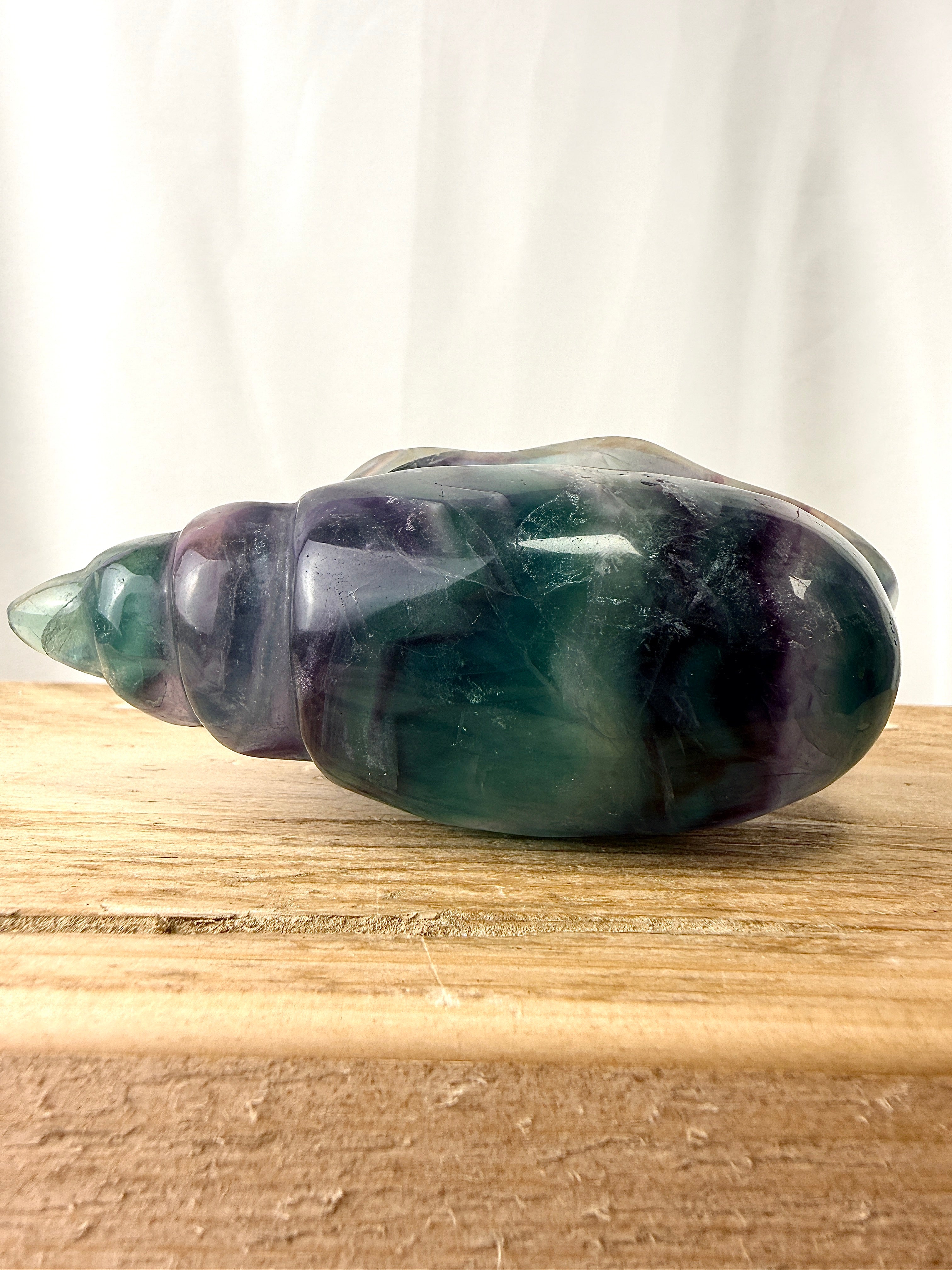 Rainbow Fluorite Conch Shell (#2)