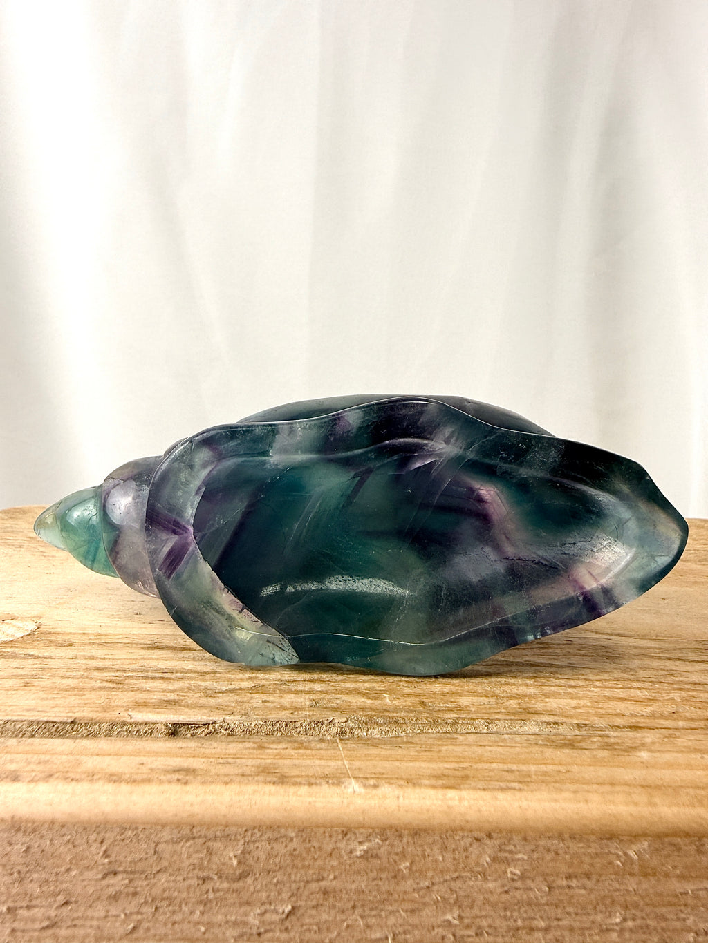 Rainbow Fluorite Conch Shell (#2)