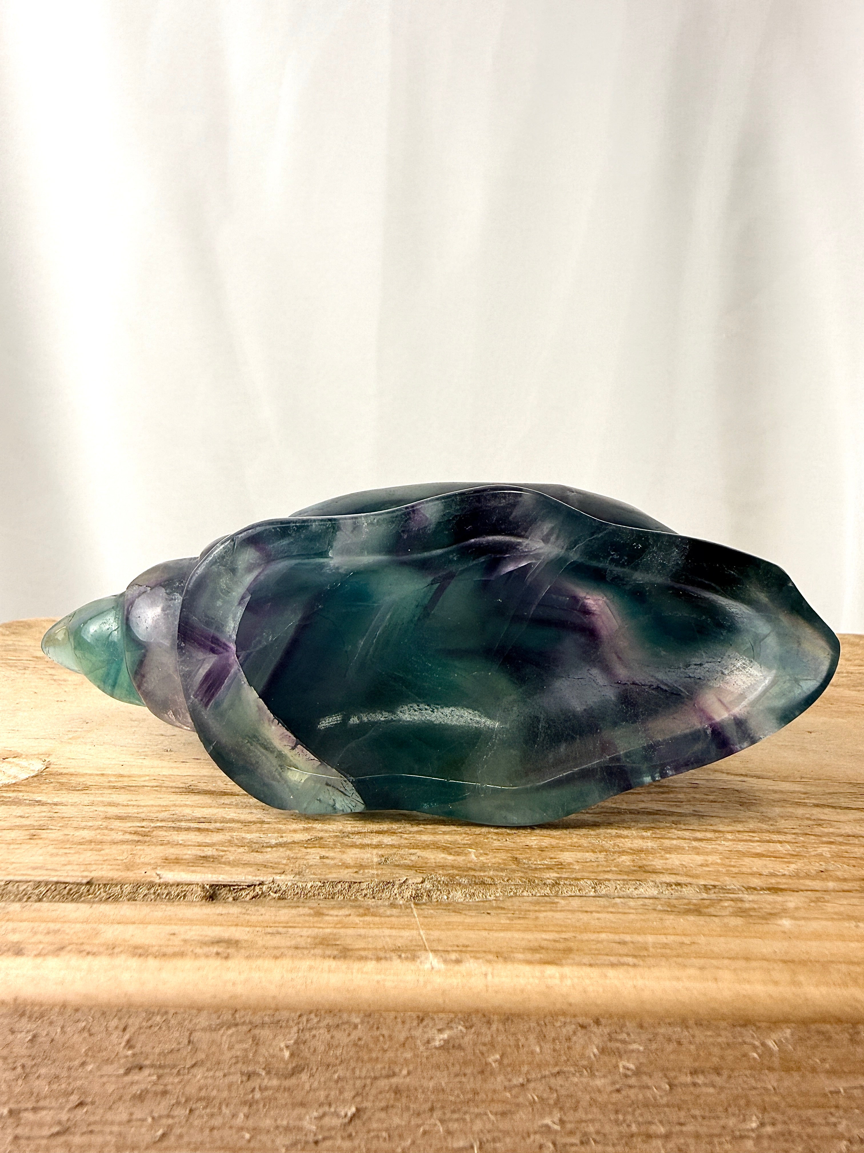 Rainbow Fluorite Conch Shell (#2)