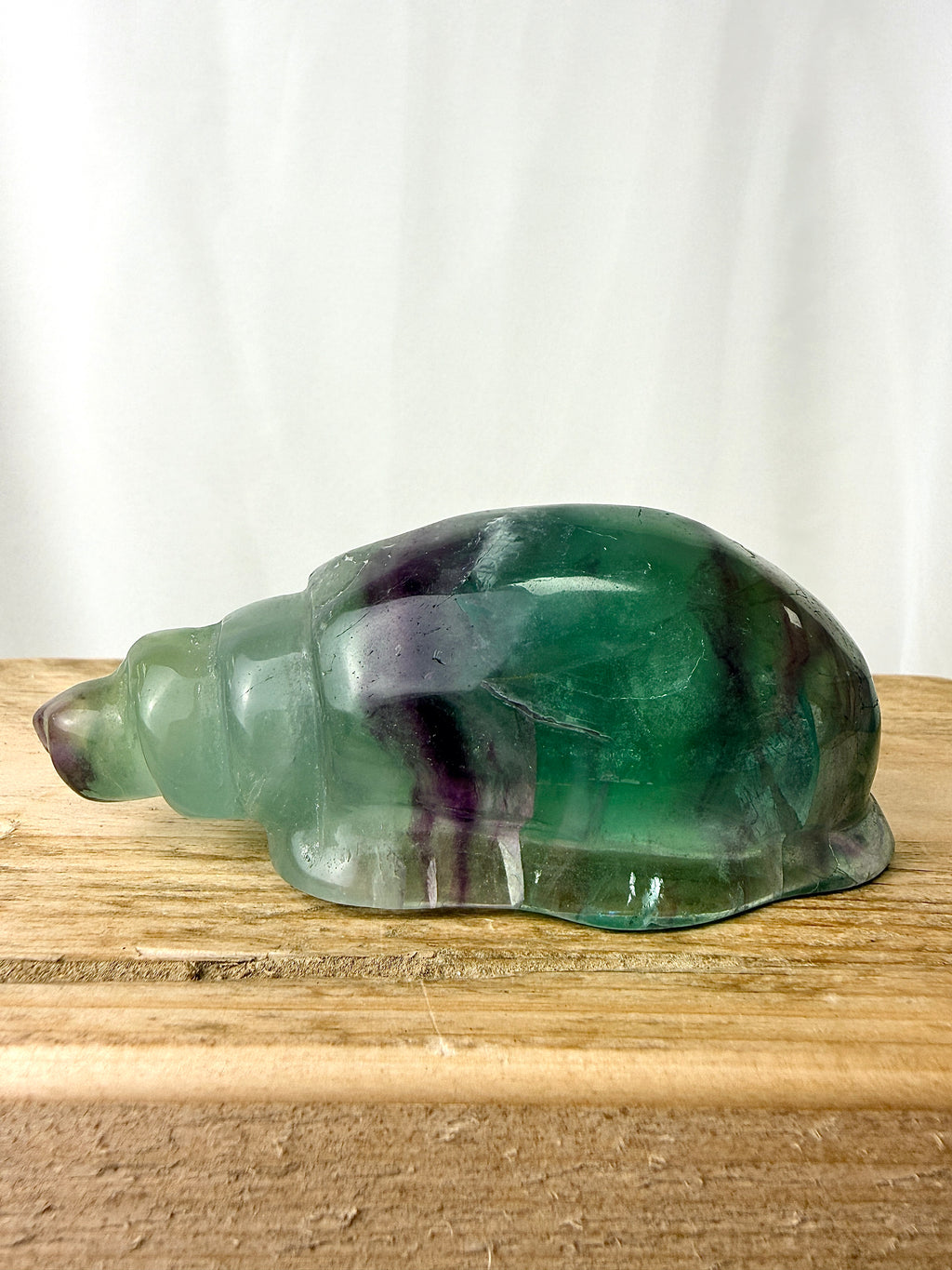 Rainbow Fluorite Conch Shell (#3)
