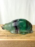 Rainbow Fluorite Conch Shell (#3)