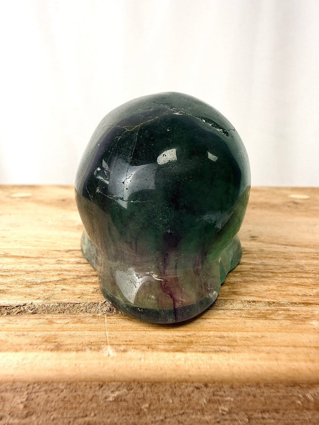 Rainbow Fluorite Conch Shell (#3)
