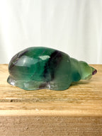 Rainbow Fluorite Conch Shell (#3)