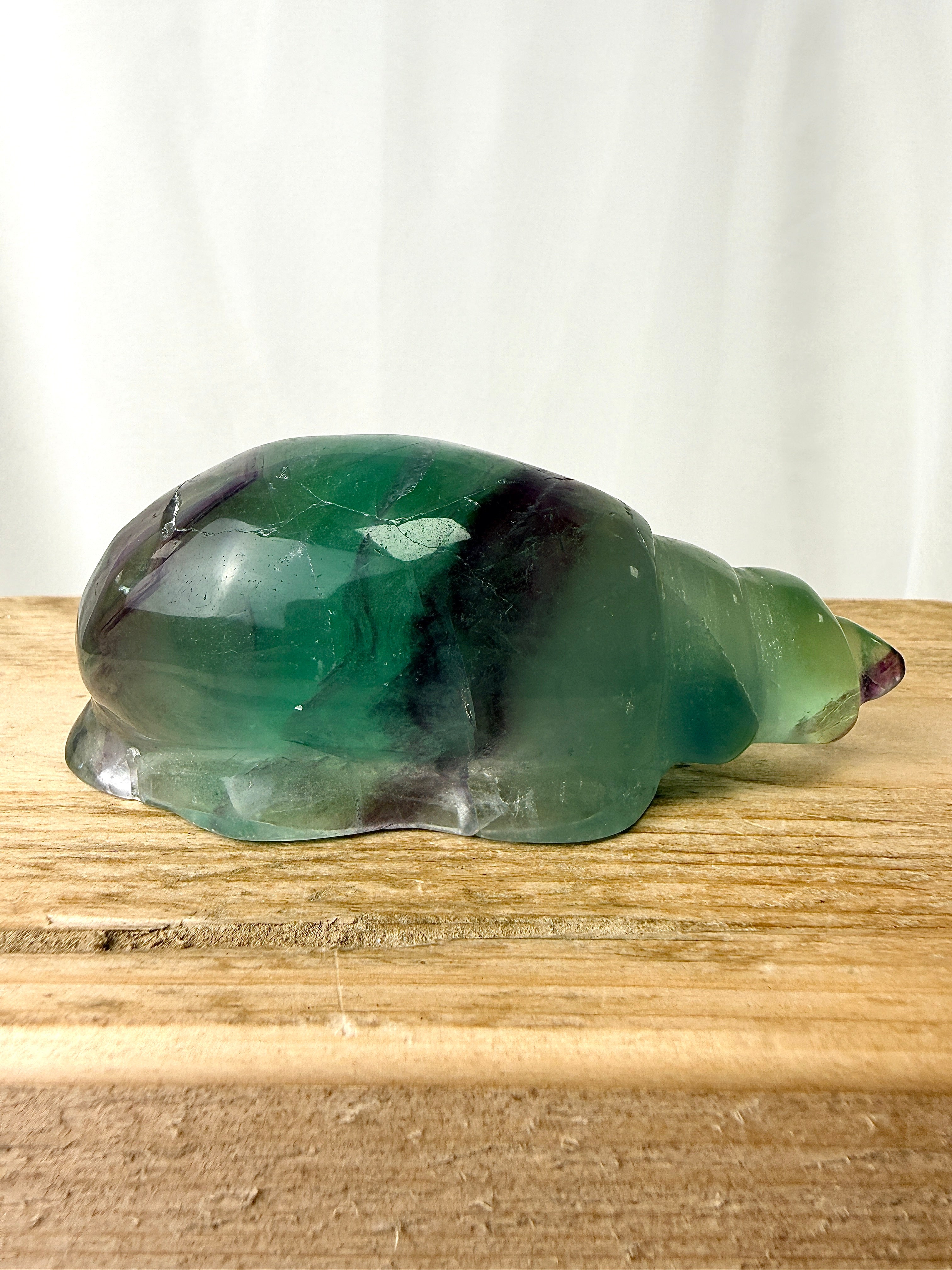 Rainbow Fluorite Conch Shell (#3)