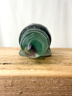 Rainbow Fluorite Conch Shell (#3)