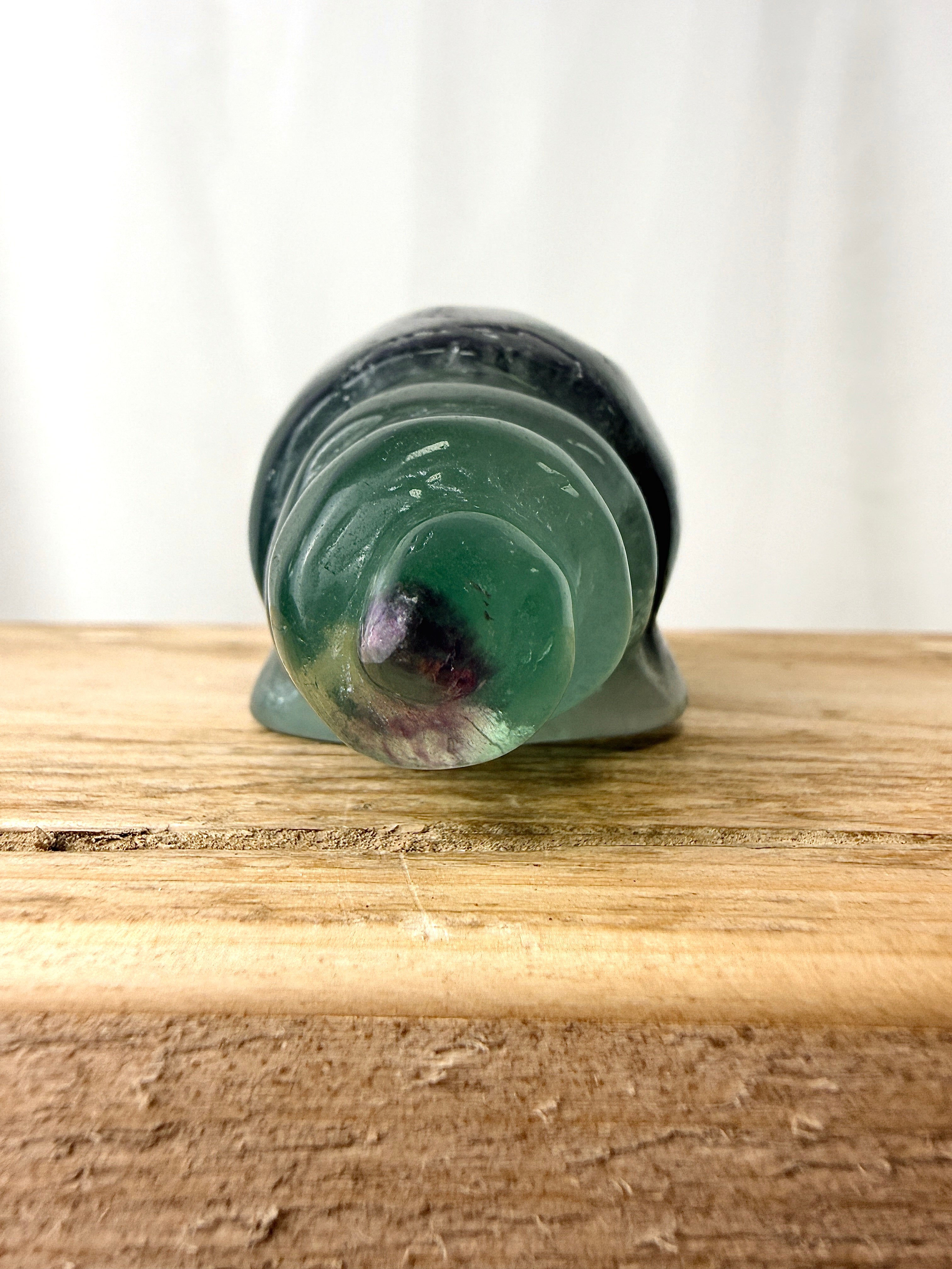 Rainbow Fluorite Conch Shell (#3)