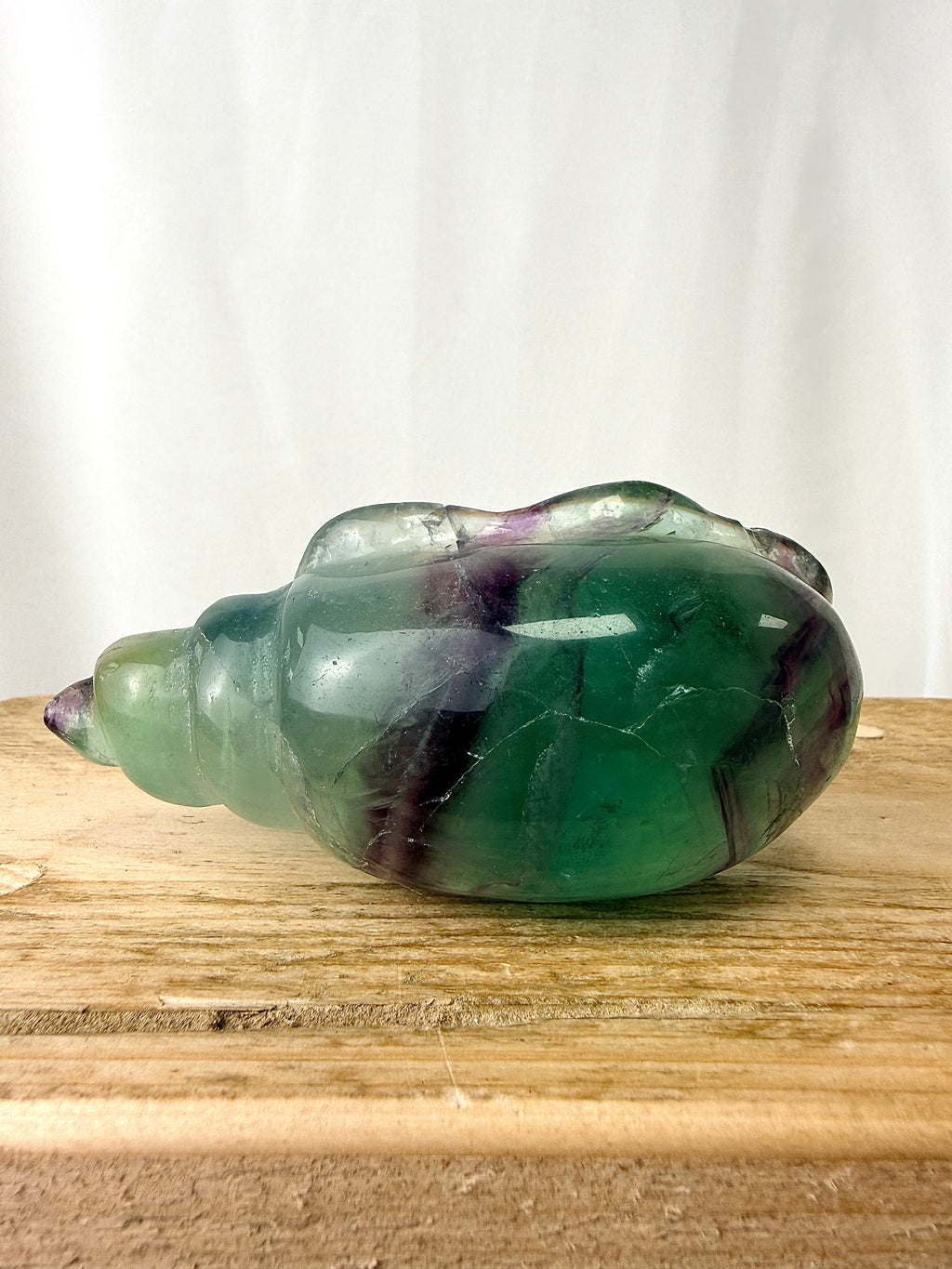 Rainbow Fluorite Conch Shell (#3)