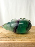 Rainbow Fluorite Conch Shell (#3)