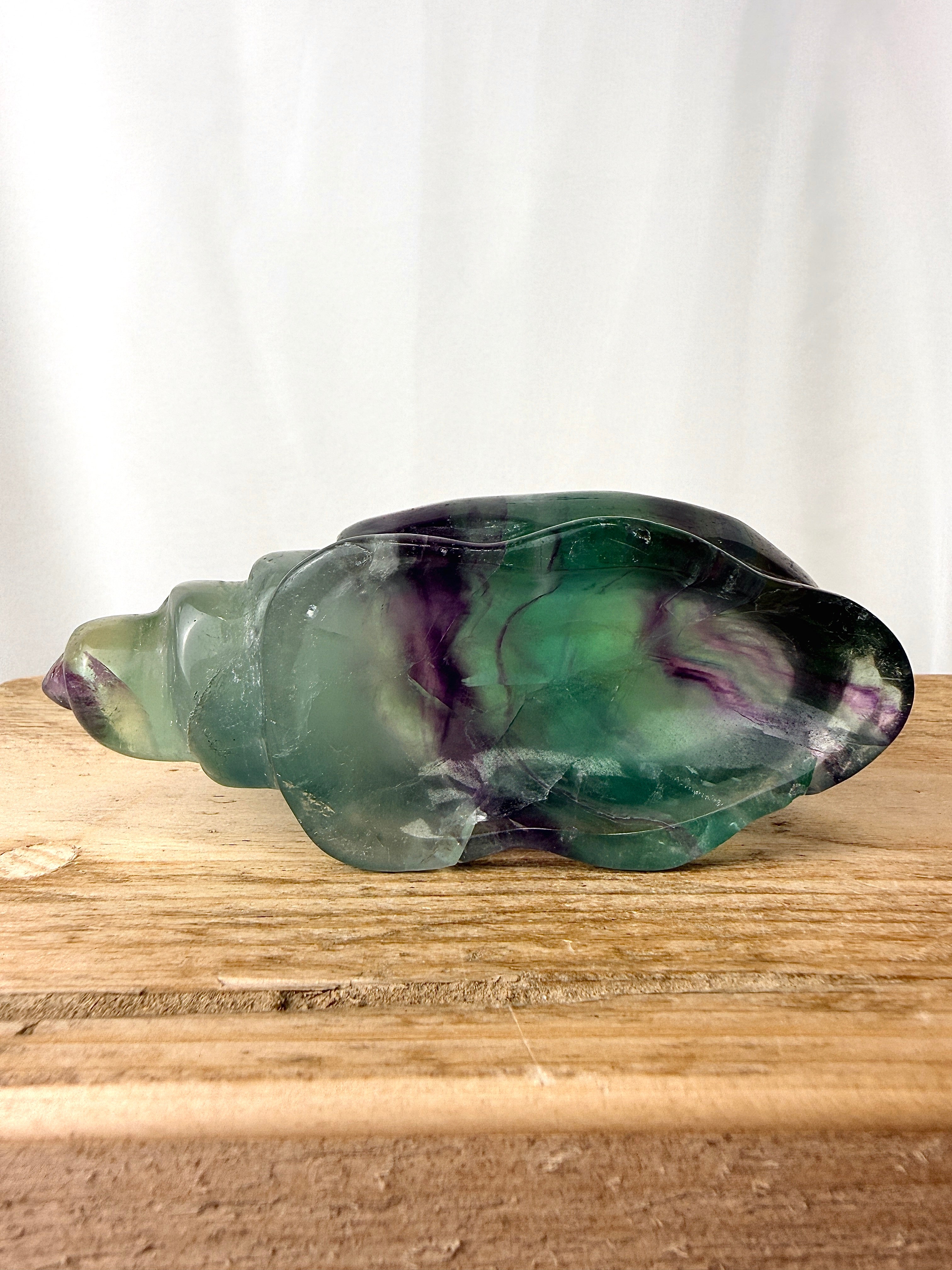 Rainbow Fluorite Conch Shell (#3)