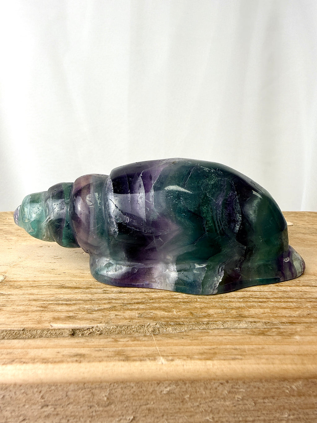 Rainbow Fluorite Conch Shell (#4)