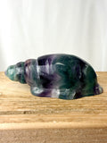 Rainbow Fluorite Conch Shell (#4)