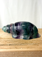 Rainbow Fluorite Conch Shell (#4)