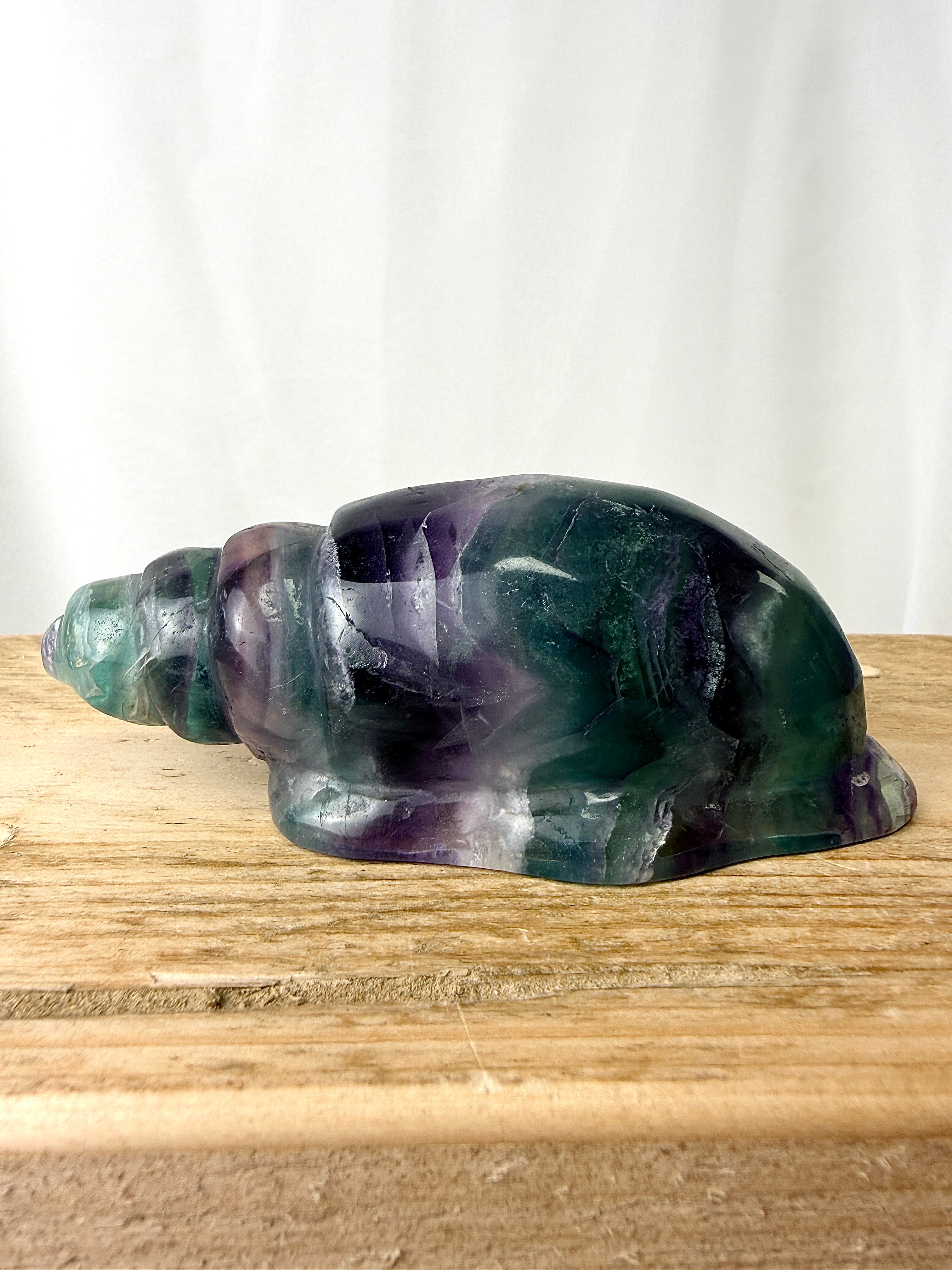 Rainbow Fluorite Conch Shell (#4)