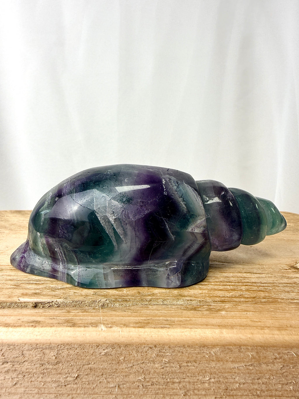 Rainbow Fluorite Conch Shell (#4)