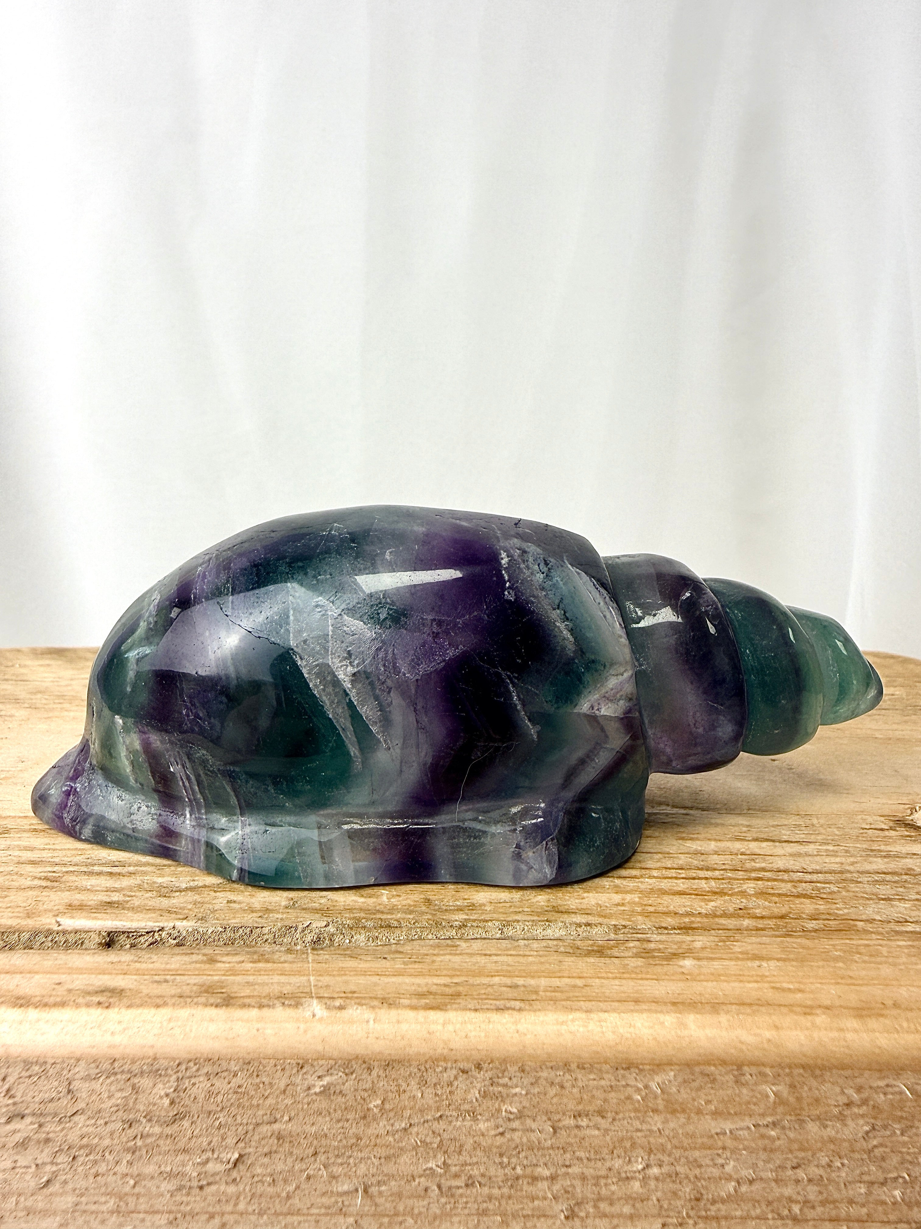 Rainbow Fluorite Conch Shell (#4)