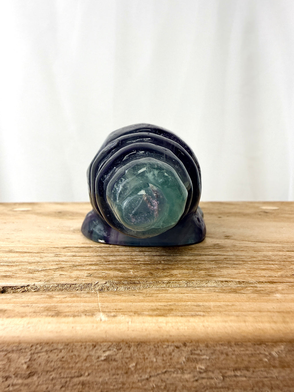 Rainbow Fluorite Conch Shell (#4)