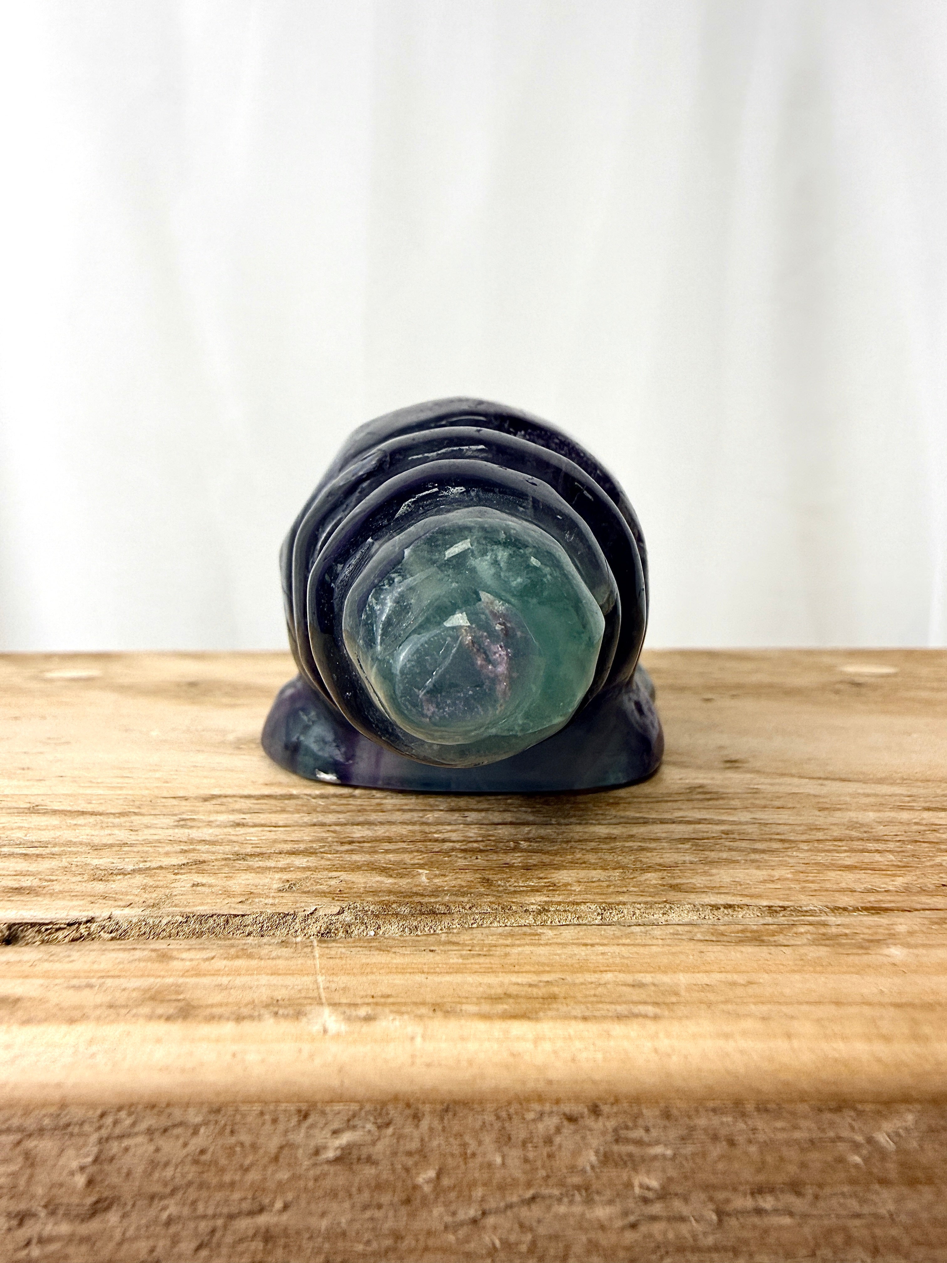 Rainbow Fluorite Conch Shell (#4)