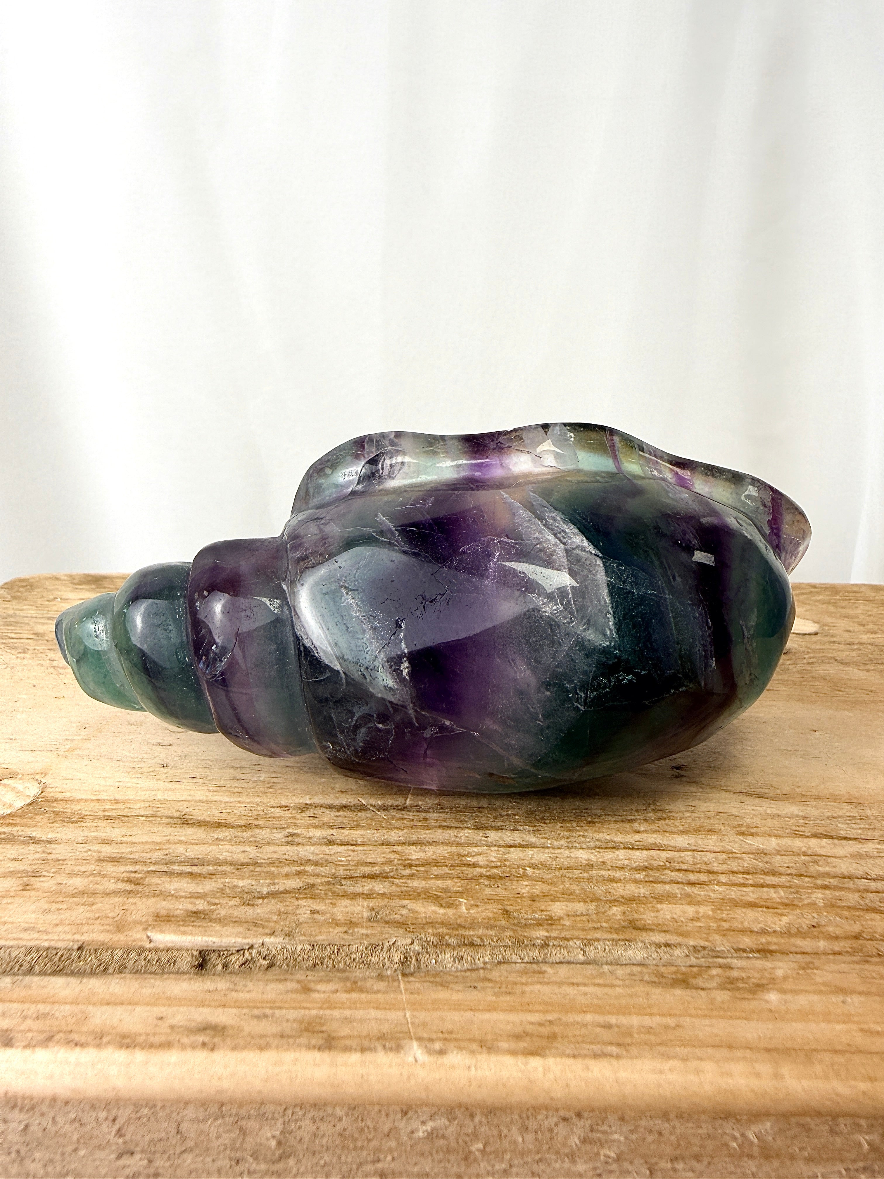 Rainbow Fluorite Conch Shell (#4)