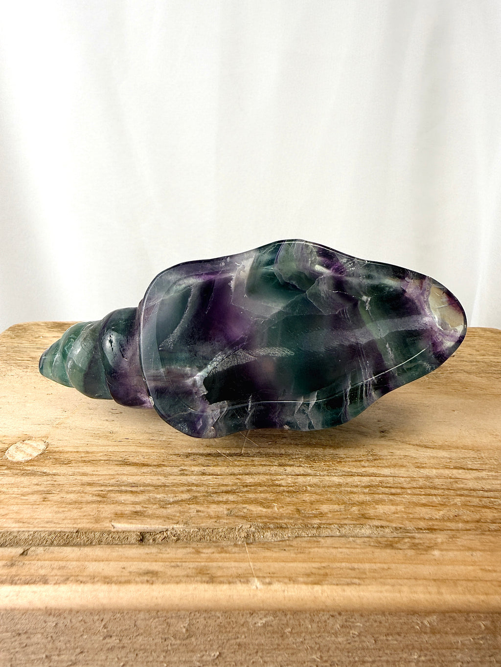 Rainbow Fluorite Conch Shell (#4)