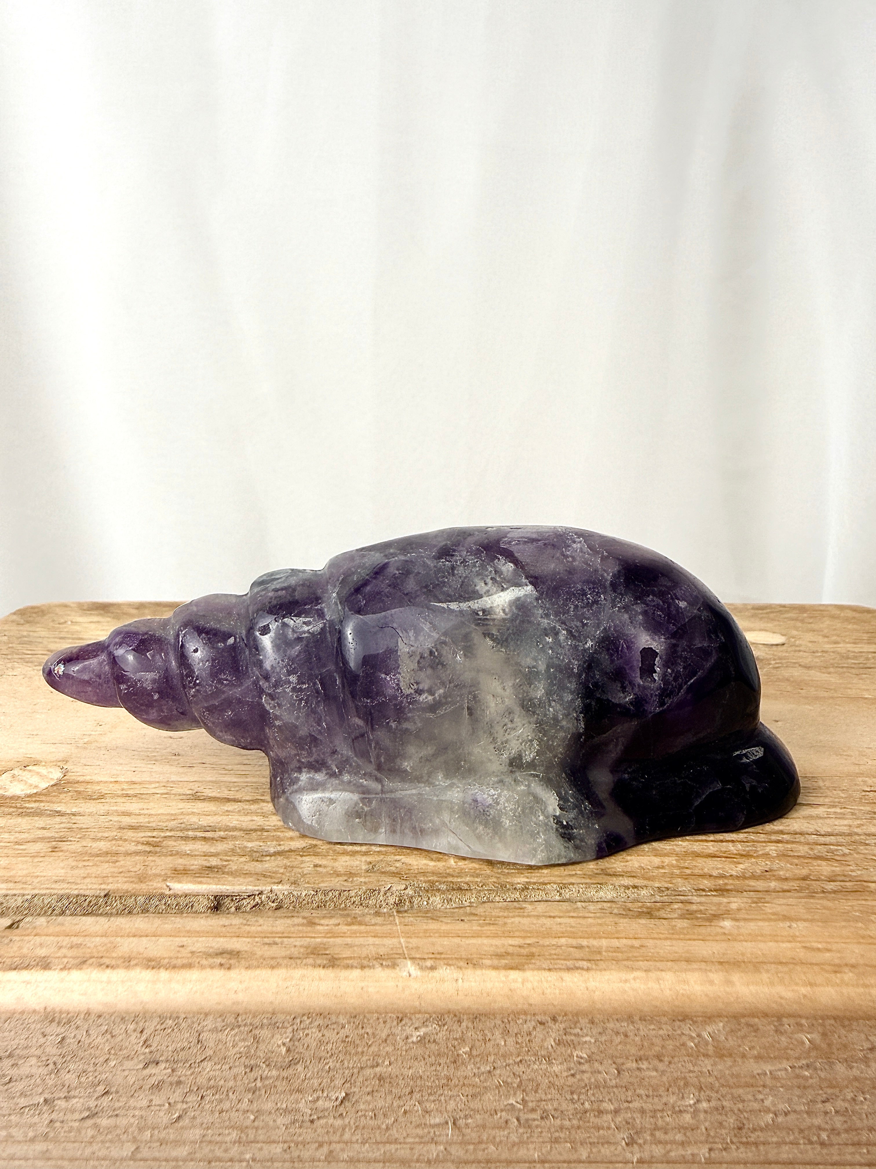 Rainbow Fluorite Conch Shell (#5)