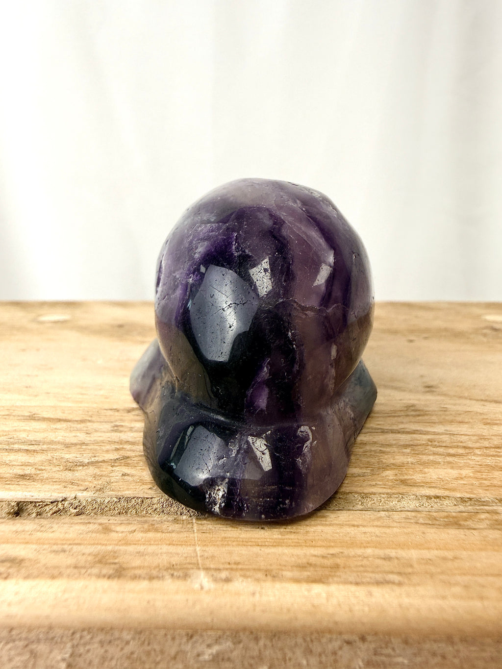 Rainbow Fluorite Conch Shell (#5)
