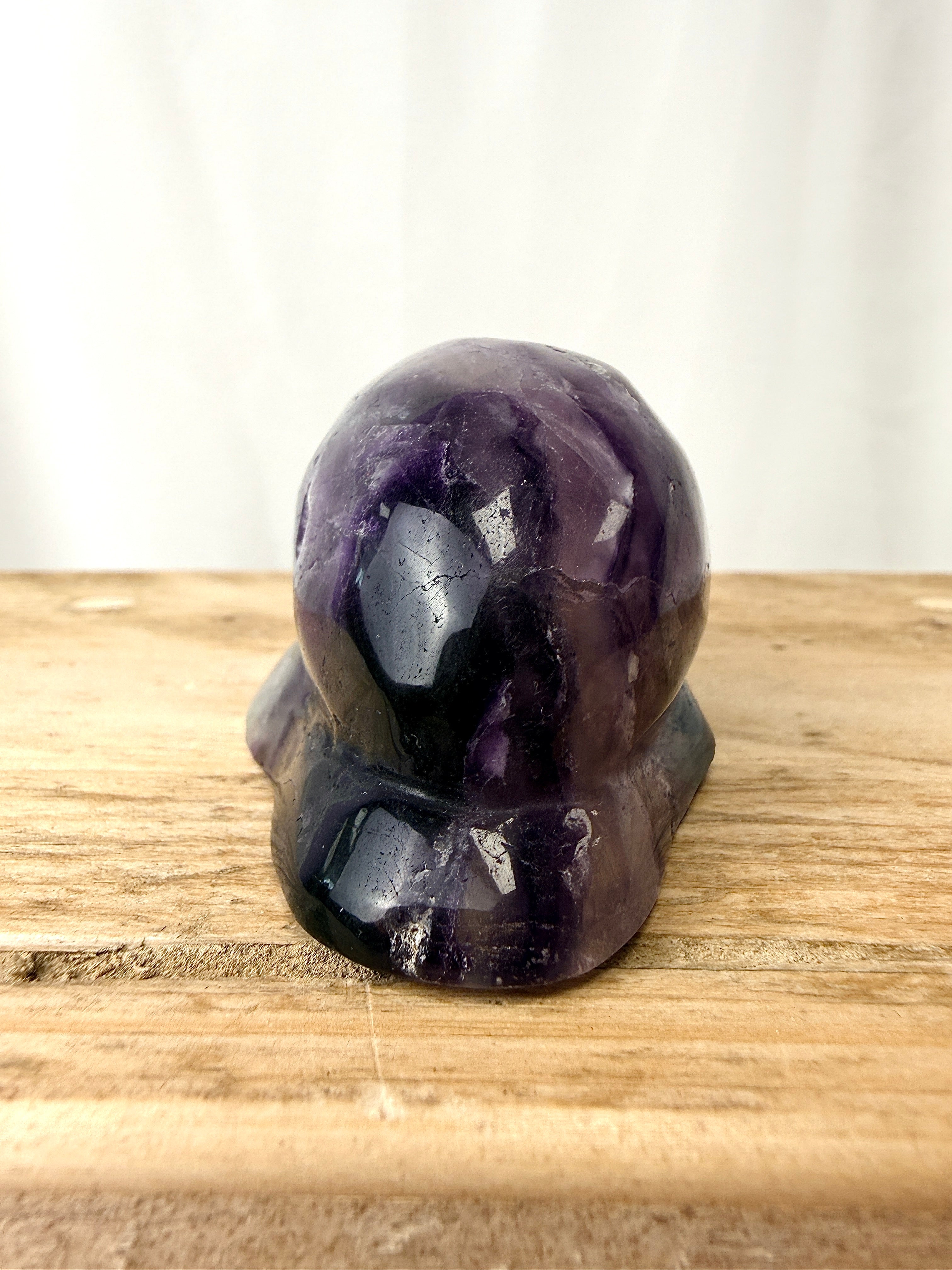 Rainbow Fluorite Conch Shell (#5)
