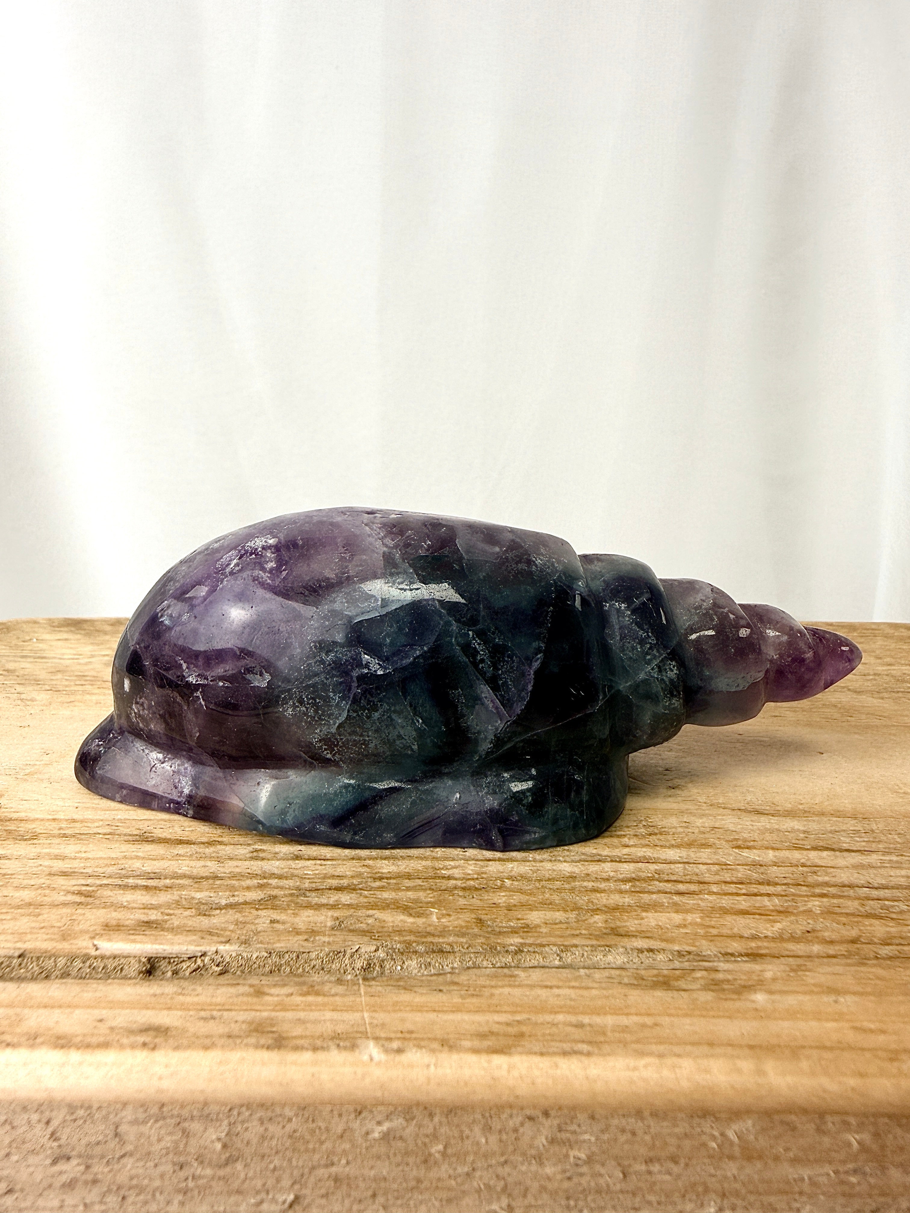 Rainbow Fluorite Conch Shell (#5)