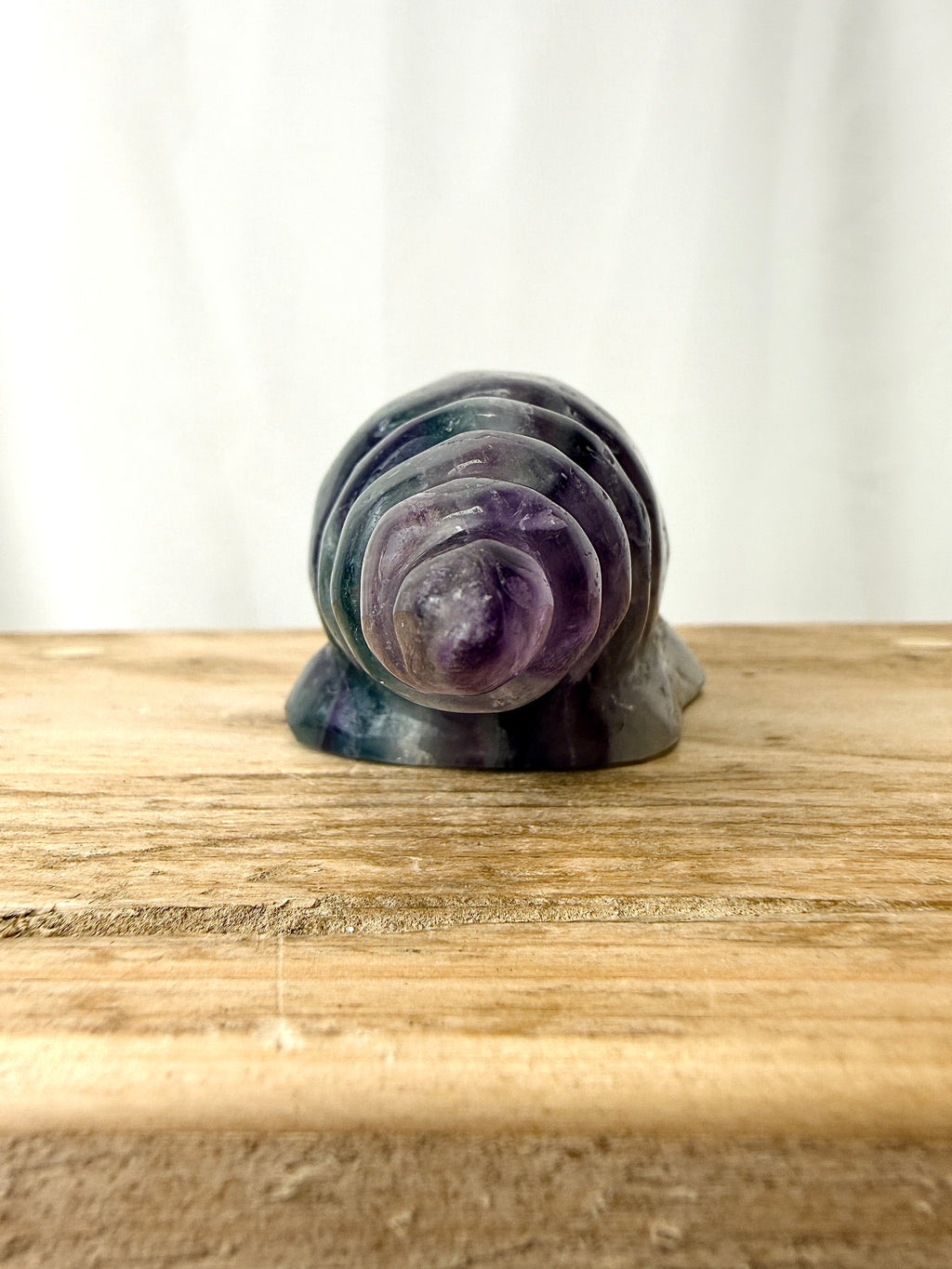 Rainbow Fluorite Conch Shell (#5)