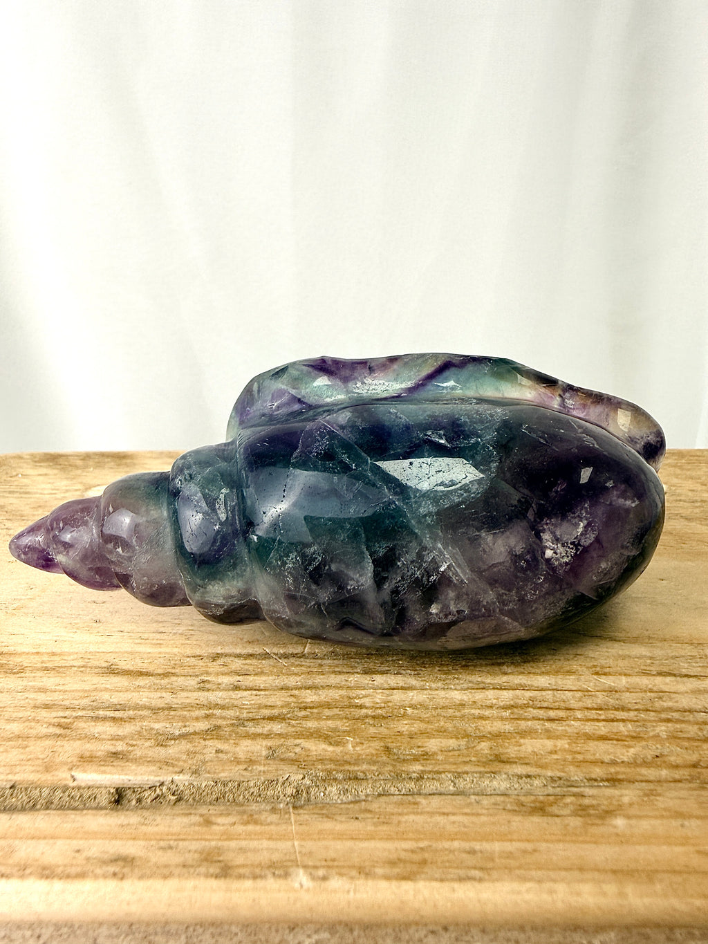 Rainbow Fluorite Conch Shell (#5)
