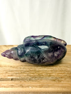 Rainbow Fluorite Conch Shell (#5)