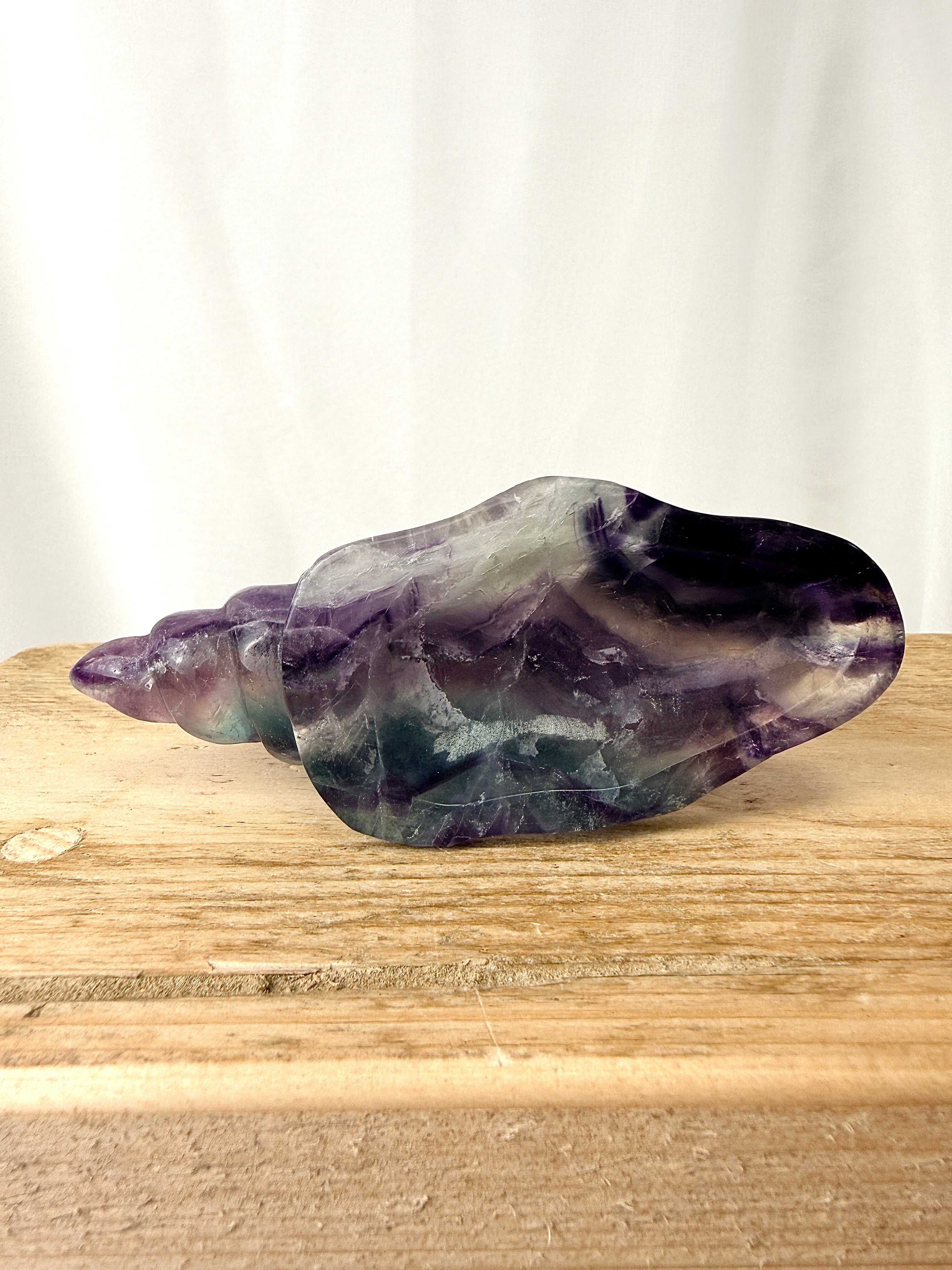 Rainbow Fluorite Conch Shell (#5)