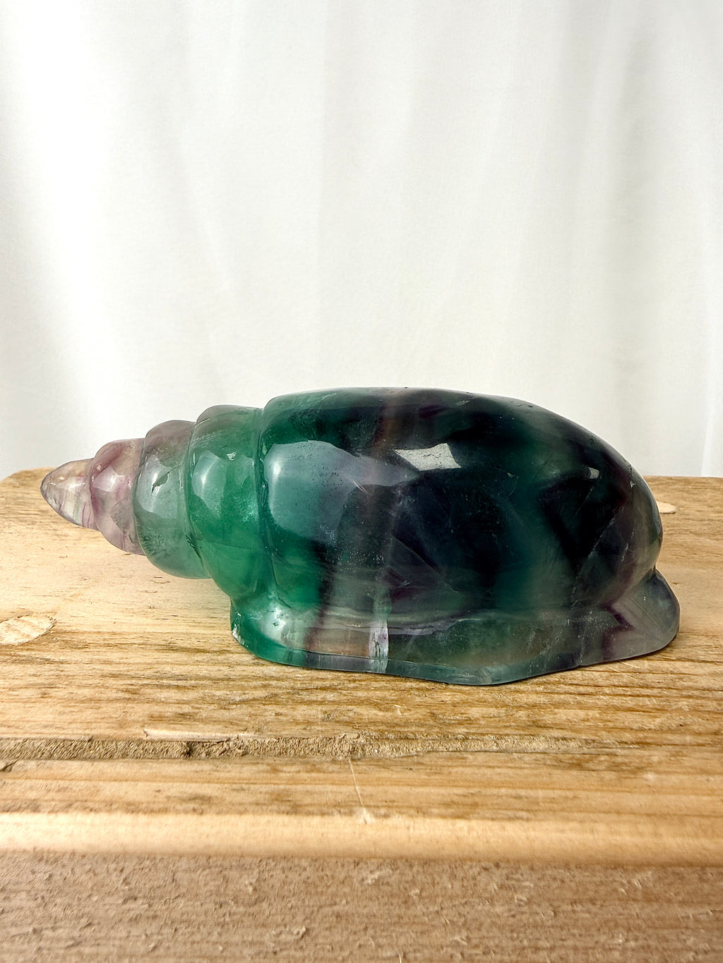 Rainbow Fluorite Conch Shell (#6)
