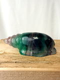 Rainbow Fluorite Conch Shell (#6)