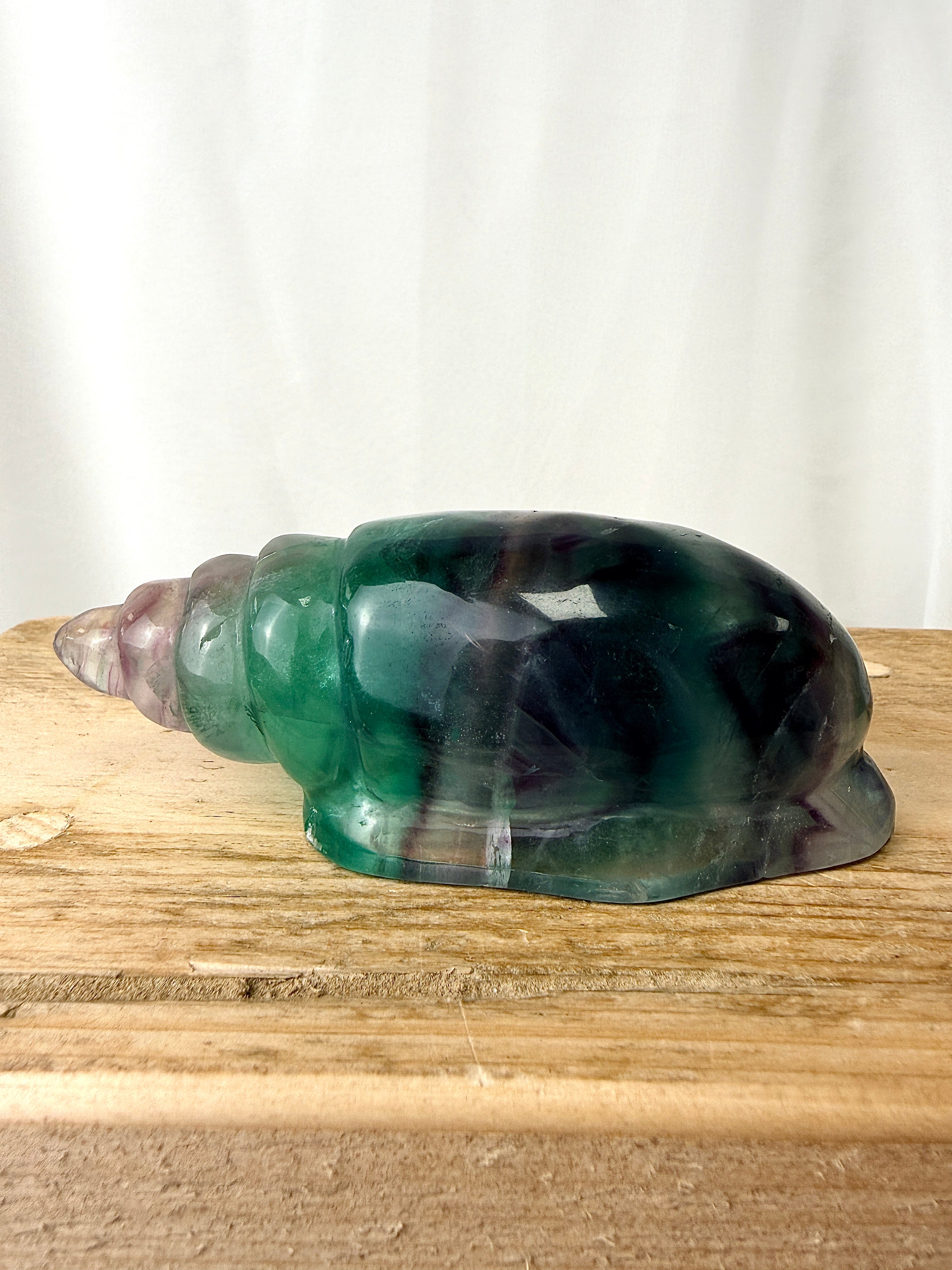 Rainbow Fluorite Conch Shell (#6)