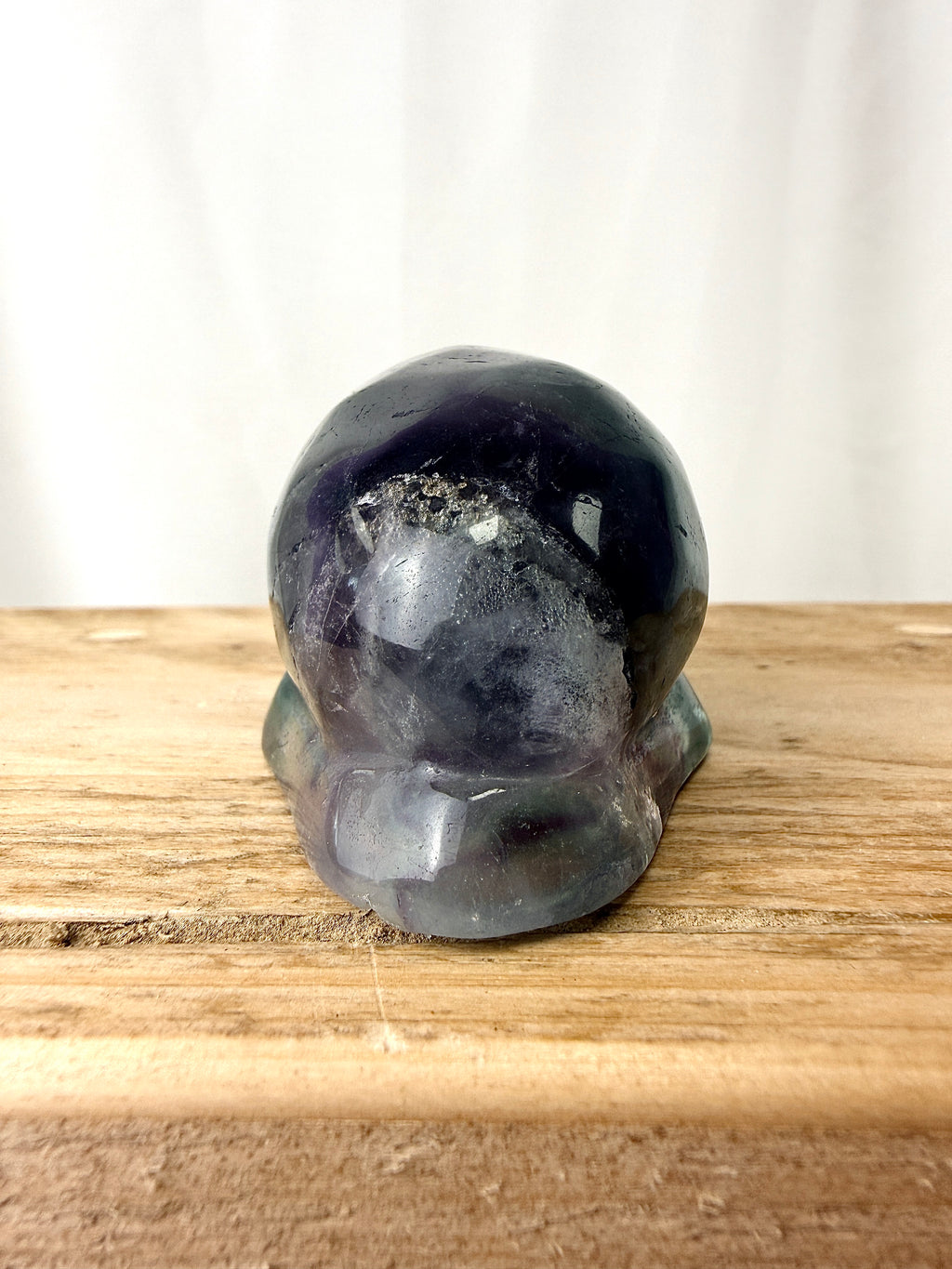 Rainbow Fluorite Conch Shell (#6)