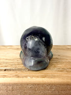 Rainbow Fluorite Conch Shell (#6)